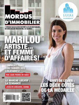 Volume 4 - L'effet de levier : les deux côtés de la médaille